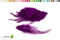 pflaume 285