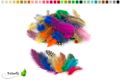 mix / bunte Mischung