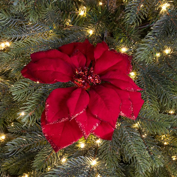 Weihnachtsstern Blume auf Clip 24cm rot