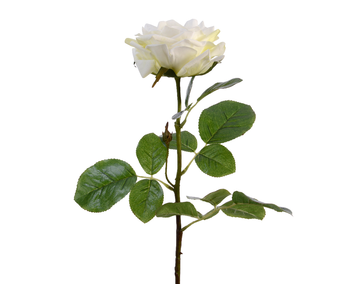 Kunstblumen Rose mit Stiel 68cm Real Touch weiß | Kreativmarkt Butterfly