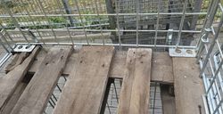 10088_8.jpg 10088_8.jpg