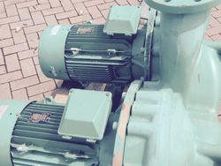 12562-Wilo-Doppelschneckenpumpe-DPN100-315-15-4-G_5.jpg 12562-Wilo-Doppelschneckenpumpe-DPN100-315-15-4-G_5.jpg