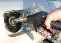 15019_2.jpg 15019_2.jpg