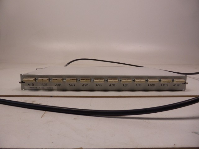 LWL 19" Pachtfeld Patchpanel 12 Port