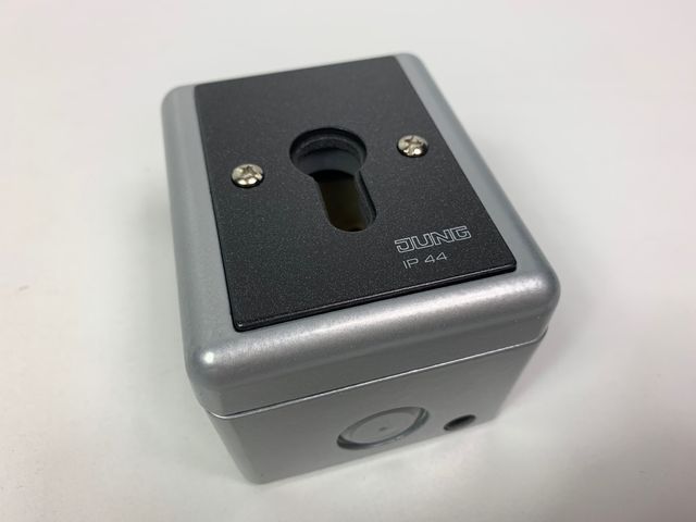 Jung Schlüssel-Schalter WG800 833.18G 1-pol Taster-Wechsler grau IP44