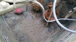 20418_5.jpg 20418_5.jpg