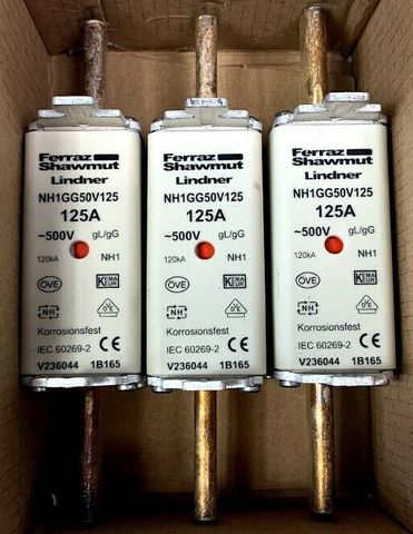 3x Ferraz Shawmut Lindner Sicherungseinsatz Gr. NH1 500V 125A