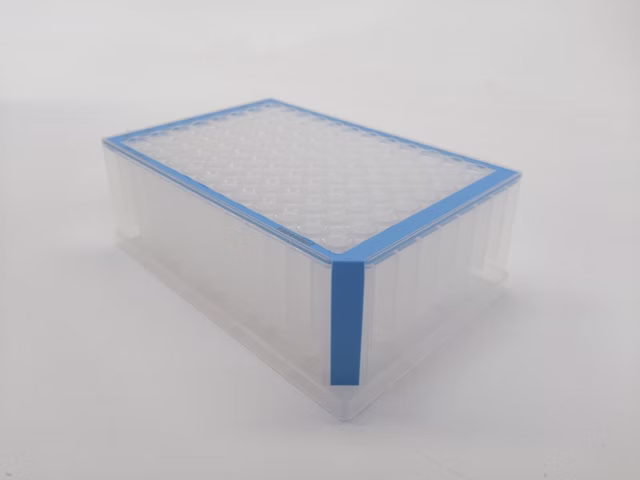 Deepwell Plate 96/1000 µL, Wells klar, 1.000 µL, PCR clean, blau, 20 Platten (5 Beutel × 4 Platten)