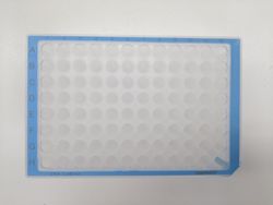 21230_3.jpg 21230_3.jpg