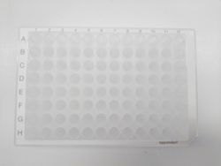 21232_5.jpg 21232_5.jpg