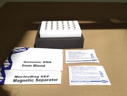 21237_4.jpg 21237_4.jpg