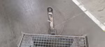 23909_4.jpeg