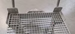 23909_5.jpeg