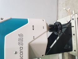 24313_10.jpg 24313_10.jpg