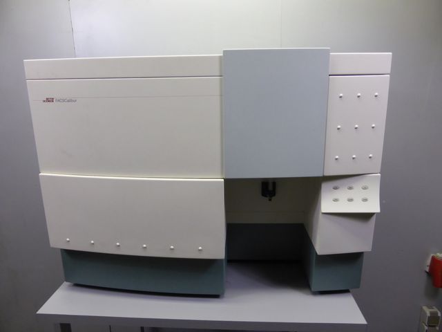 BD Becton Dickinson FACSCalibur Durchflusszytometrie Durchflusszytometer 