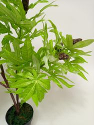 24919_2.jpg 24919_2.jpg