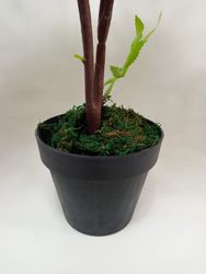 24919_4.jpg 24919_4.jpg