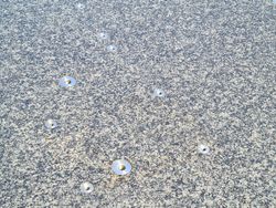 24958_4.jpg 24958_4.jpg