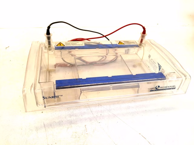 Gibco BRL Sunrise 96 Elektrophorese Gelelektrophorese GibcoBRL Sunrise96 Labor