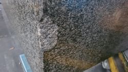 26141_1.jpg 26141_1.jpg