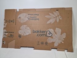 26142_4.jpeg 26142_4.jpeg