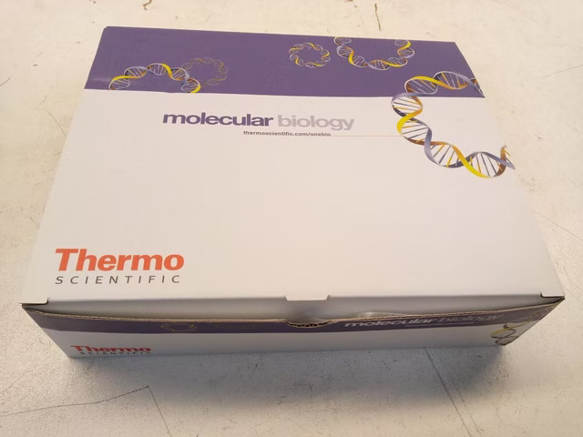 Thermo Scientific AB-0900 PCR-Plate AB0900 96-well segmented semi-skirted 0,2 mL