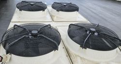 34306_7.jpg 34306_7.jpg