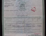 36462_14.jpg