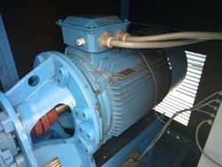 38335_15.jpg 38335_15.jpg