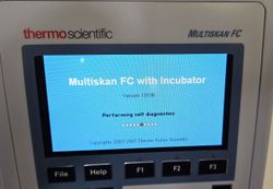 38395_2.jpg 38395_2.jpg