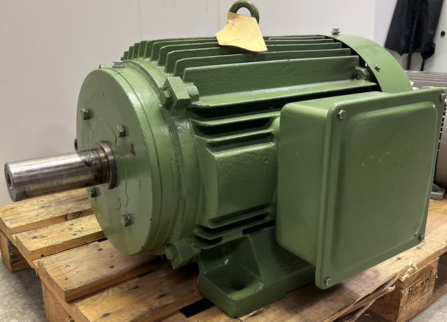 AEG AM225 SV 404 Drehstrommotor AM225SV404 Motor ca. 37kW 1475rpm kein T-Schild