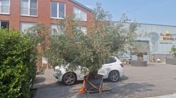 43210.jpeg 43210.jpeg