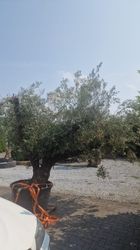 43210_1.jpeg 43210_1.jpeg