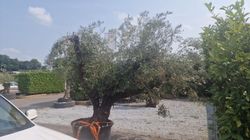 43210_2.jpeg 43210_2.jpeg