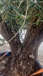 43210_3.jpeg 43210_3.jpeg