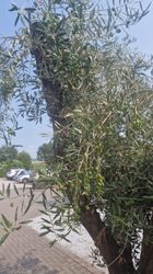 43210_5.jpeg 43210_5.jpeg