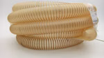 48629.JPG