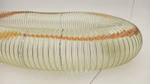 48651_1.JPG