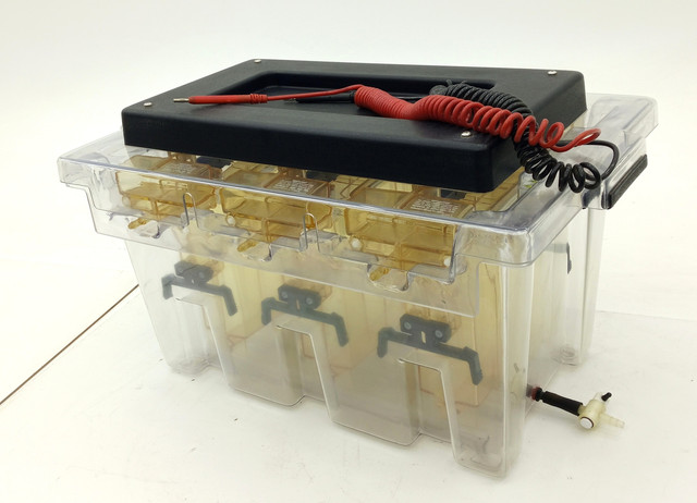 Bio-Rad PROTEAN II Multi-Cell Elektrophoresekammer SDS-PAGE 1000V