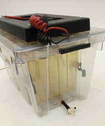 Logo ohne GmbH 49387.jpg