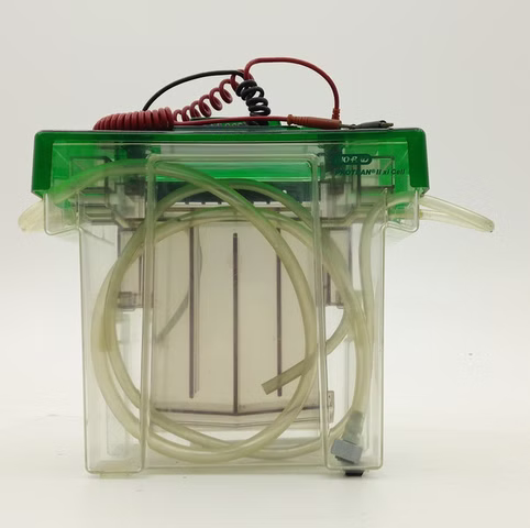 Bild 5 Bio-Rad PROTEAN II xi Cell Elektrophoresekammer SDS-PAGE Laborsystem