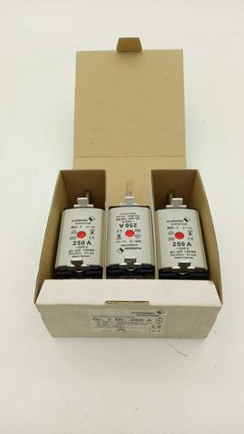 3x m.schneider EUROFUSE NH-1 Sicherung 371125 250A 500V gL-gG DIN43620 
