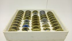 49897_4.jpg 49897_4.jpg