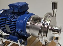 50721_2.jpg 50721_2.jpg