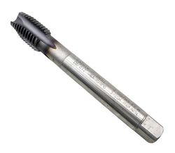 51325_6.jpg 51325_6.jpg