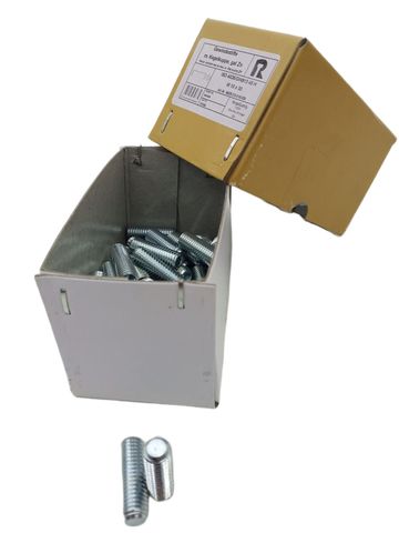 100x Reyher 04026.210.0100.030 M10x30 DIN913 Gewindebolzen