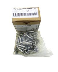 53553_4.jpg Zylindrische Stifte M6 × 28 mm Vorderansicht