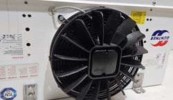 57493_2.jpg 57493_2.jpg