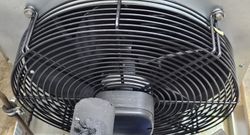 57559_10.jpg 57559_10.jpg