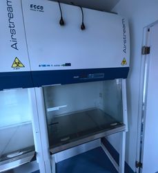 58561_5.jpeg 58561_5.jpeg